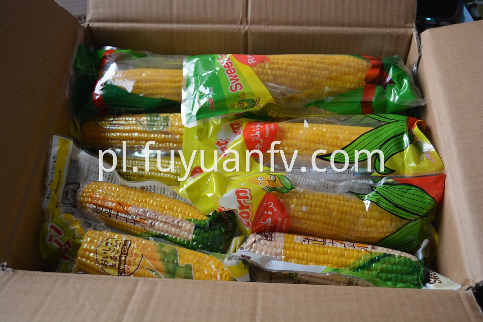 fresh sweet corn 7